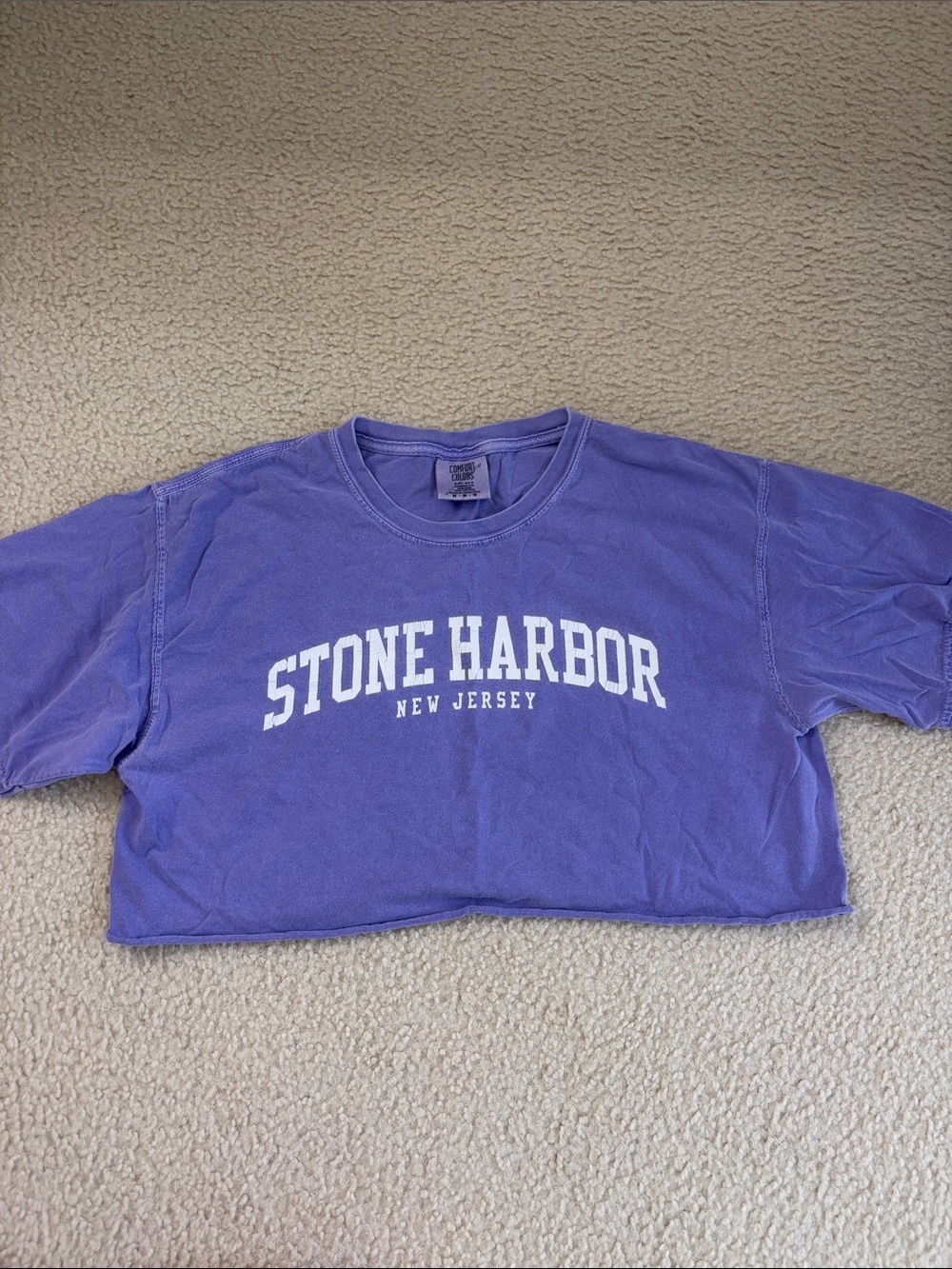 Stone Harbor Cropped Tee in Lavender